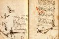 Leonardo Da Vinci’s representation of animals in his works