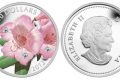 Canada, un'oncia d'argento per il rododendro