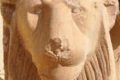 Egitto, scoperte due teste di leone tolemaiche