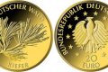 Germania, moneta in oro per il pino
