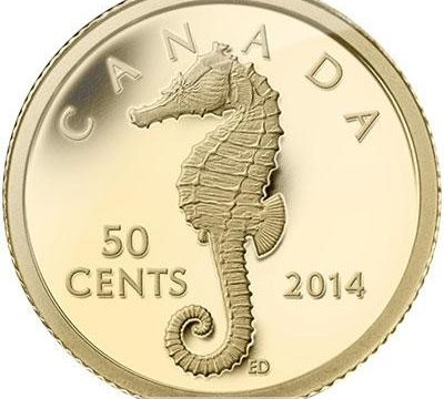 Canada, moneta in oro per l’ippocampo