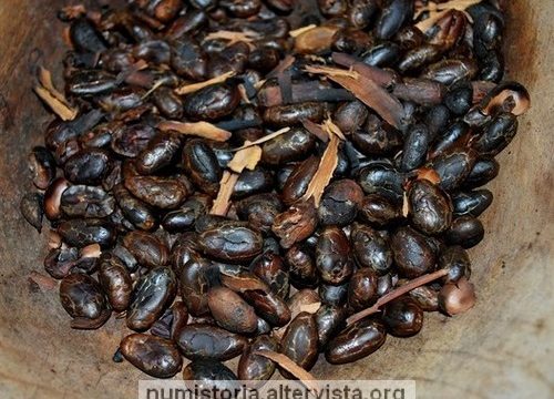 La falsificazione dei semi di cacao