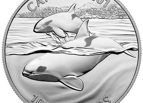 Canada, un’oncia d’argento per l’orca