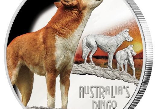 Un’oncia d’argento per il dingo